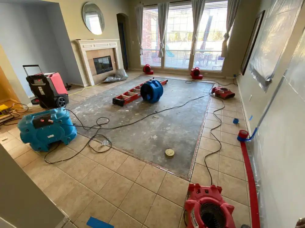 water damage restoration service Omao